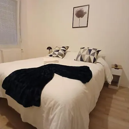 T1 
