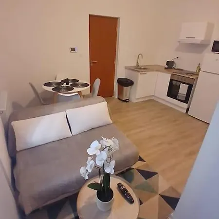 T1 