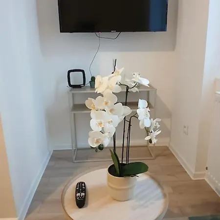 F1 Orchidee Mulhouse